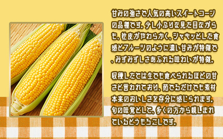 450 とうもろこし 食べ比べ 大和ルージュ 味来 合計約5kg 先行予約 2026年7月上旬～下旬頃発送予定 赤 レッド 野菜 クール便 冷蔵 食べきり