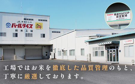 473 ふくまる 10kg 5kg × 2袋 茨城県産 人気 銘柄 令和6年