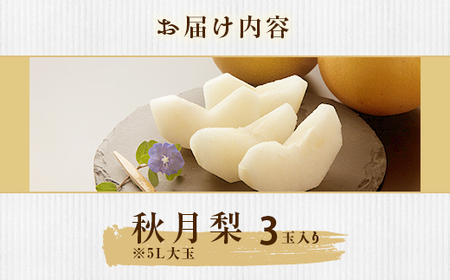 353 秋月梨 約1.5kg 3玉 5L 大玉 梨 なし あきづき 【先行予約 2026年 9月中旬ころより順次発送予定】