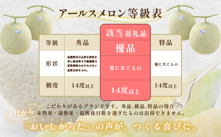 490 アールスメロン 3玉 5L 約8kg 優品以上 高級 茨城 JA水戸産 先行予約 2025年8月上旬頃から順次発送予定