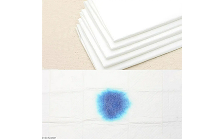 276617 薄型 レギュラー ペットシーツ 160枚 × 4袋 1回交換タイプ 国産 ペットシート 定期便 6ヶ月 連続お届け 422