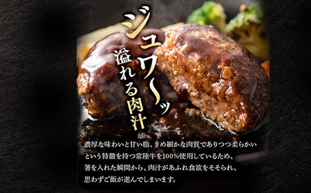 生ハンバーグ120g×12個 常陸牛 100％ 516