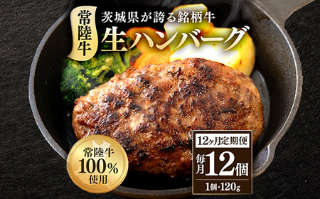 生ハンバーグ120g×12個 常陸牛 100％ 【12ヶ月連続お届け】 519