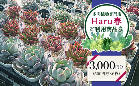 592 Haru春で使える3,000円分チケット（500円×6枚）
