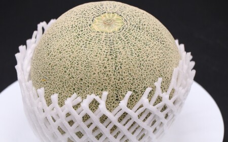 608 アンデスメロン【秀品】約5kg（3～5玉）先行予約 フルーツ 茨城 茨城県産 人気 果物 メロン 【事業者：小島 正幸】