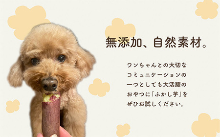 638ペット用蒸かし芋4kg（紅はるか）ペットのおやつ【茨城町農業公社】