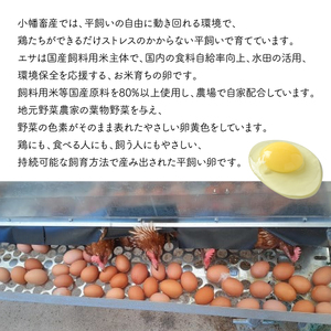 279 平飼い やさしい ひたち野 穂の香 卵 30個【小幡畜産】