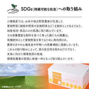 279 平飼い やさしい ひたち野 穂の香 卵 30個【小幡畜産】