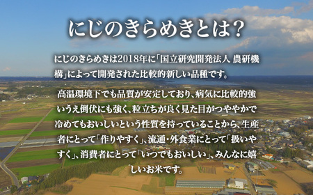 733【令和7年産】茨城県産 にじのきらめき 10kg 3ヶ月定期便【米農家もろちゃん】