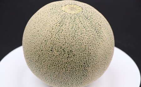 739 アンデスメロン 3L×2玉 先行予約 茨城県茨城町産 メロン【小島 正幸】