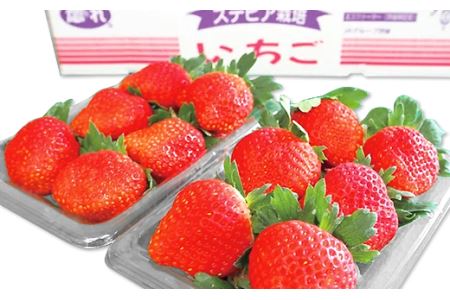 002茨城県産いちご「とちおとめ」1.04kg(4パック)【2026年1月中旬頃~3月下旬頃発送予定】