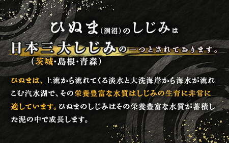 054涸沼の大和しじみ【冷凍】1.6kg（400g×4パック）
