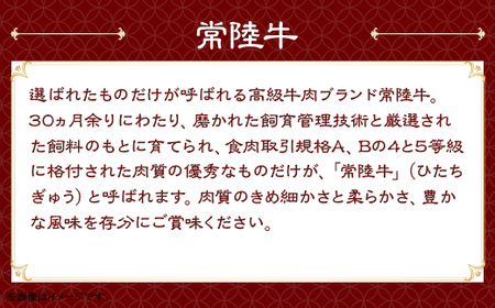 114肉の木村屋特製手作りハンバーグセット10個（美明豚5個・常陸牛5個）