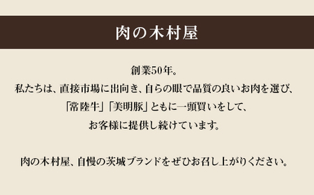 114肉の木村屋特製手作りハンバーグセット10個（美明豚5個・常陸牛5個）