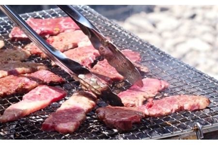 125茨城県産黒毛和牛「常陸牛」モモスライス焼肉用約500ｇ