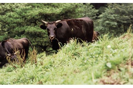 126茨城県産黒毛和牛「常陸牛」ロースステーキ約400ｇ