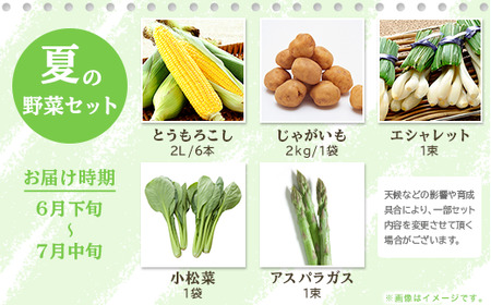 162 定期便 果物 フルーツ 野菜 茨城町 旬 年に4回 お届け お楽しみ メロン サツマイモ とうもろこし 等