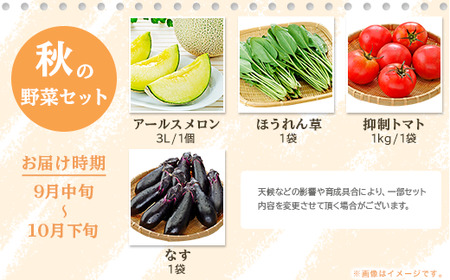 162 定期便 果物 フルーツ 野菜 茨城町 旬 年に4回 お届け お楽しみ メロン サツマイモ とうもろこし 等