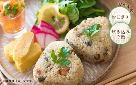 168【令和7年産】茨城町産 こしひかり 5kg【野口ライス】