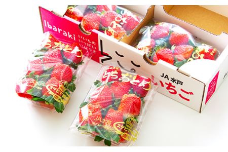 200茨城県産いちご「とちおとめ」2.08kg（2箱8パック）【2026年1月中旬頃～3月下旬頃発送予定】