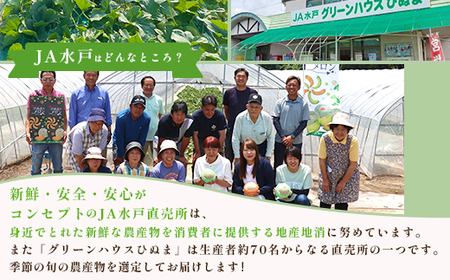 213 レノンメロン 秀品 大玉 2玉 約2.5kg 茨城県 JA水戸産 めろん 赤肉 先行予約 2025年5月中旬頃より発送予定