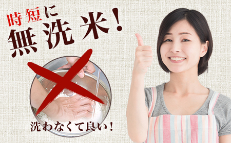 221-2【令和7年産】茨城町産 無洗米 ミルキークイーン 10kg(2kg×5袋)【野口ライス】