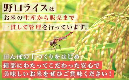 221-2【令和7年産】茨城町産 無洗米 ミルキークイーン 10kg(2kg×5袋)【野口ライス】