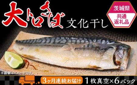 63-A1【茨城県共通返礼品/神栖市】大トロさば文化干し【3ヶ月連続お届け】