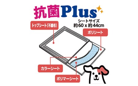 298【3ヶ月連続お届け】定期便 3回 ペットシート こまめだワン ワイド 80枚×4袋 クリーンワン ペットシーツ 犬用 抗菌 こまめに交換 いつも清潔