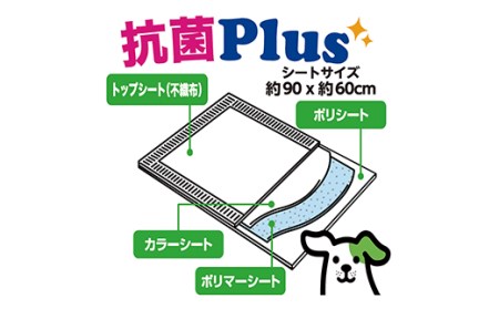 ふるさと納税 320【ふるなび限定】【5ヶ月連続お届け】定期便 5回