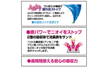 303【6ヶ月連続お届け】定期便 6回 消臭シート ダブルストップ レギュラー 80枚×4袋 クリーンワン ペットシーツ 犬用 消臭 抗菌 炭シート ペットシート