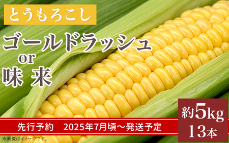 325とうもろこし(ゴールドラッシュor味来) 約5kg 13本 黄 茨城 【先行予約 2024年7月頃～発送予定】