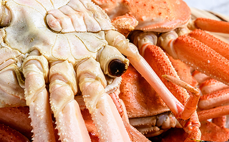 【訳あり】オオズワイガニ（ボイル済） 約2.0kg （オスメスどちらか） ＜海鮮問屋　株式会社　瑞宝＞ ズワイガニ かに カニ 蟹 ガニ がに 海鮮 森町 北海道 mr1-0919