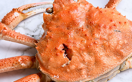 【訳あり】オオズワイガニ（ボイル済） 約2.0kg （オスメスどちらか） ＜海鮮問屋　株式会社　瑞宝＞ ズワイガニ かに カニ 蟹 ガニ がに 海鮮 森町 北海道 mr1-0919