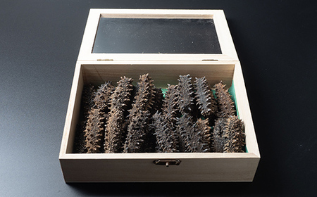 乾燥なまこ 270g前後《角野水産》 森町 珍味 海産物 魚貝類 加工品 乾物 なまこ 北海道 mr1-0588