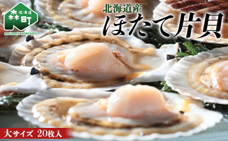 北海道産 ほたて片貝 大サイズ(20枚入) ＜ワイエスフーズ＞ 森町 ほたて 帆立 ホタテ 海産物 魚貝類 ふるさと納税 北海道 mr1-0880