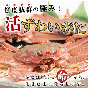 【先行予約】【訳あり】北海道噴火湾産 活オオズワイガニ1.5kg ＜道産ネットミツハシ＞ かに カニ 蟹 ガニ がに 森町 ふるさと納税 北海道 ずわいがに mr1-0601