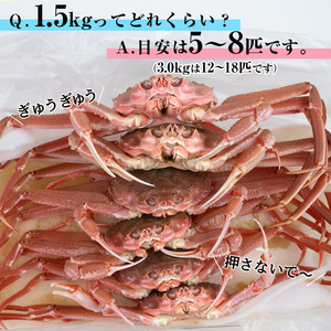 【先行予約】【訳あり】北海道噴火湾産 活オオズワイガニ1.5kg ＜道産ネットミツハシ＞ かに カニ 蟹 ガニ がに 森町 ふるさと納税 北海道 ずわいがに mr1-0601