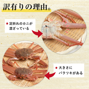 【先行予約】【訳あり】北海道噴火湾産 活オオズワイガニ1.5kg ＜道産ネットミツハシ＞ かに カニ 蟹 ガニ がに 森町 ふるさと納税 北海道 ずわいがに mr1-0601