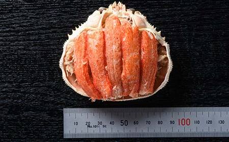 北海道産 オオズワイガニ甲羅盛（約80-90g）×4個※かにみそ無し＜道産ネットミツハシ＞ かに カニ ズワイ蟹 北海道 森町 ふるさと納税 mr1-0235