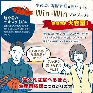 【訳あり】浜茹でオオズワイガニのメス（外子付き）2kg 詰め込みセット 北海道噴火湾産 ＜道産ネットミツハシ＞ かに カニ 蟹 がに 北海道 森町 ふるさと納税 mr1-0727