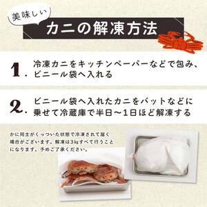 【訳あり】浜茹でオオズワイガニのメス（外子付き）2kg 詰め込みセット 北海道噴火湾産 ＜道産ネットミツハシ＞ かに カニ 蟹 がに 北海道 森町 ふるさと納税 mr1-0727