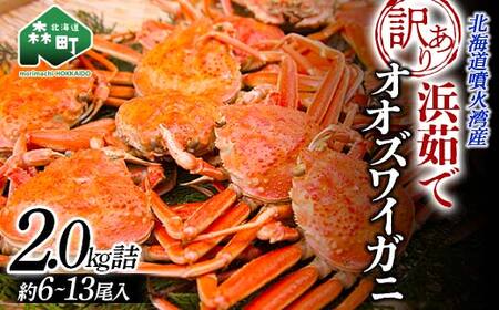 【4月発送】【訳あり】浜茹でオオズワイガニ 2.0kg 詰め込みセット 北海道噴火湾産 ＜道産ネットミツハシ＞ かに カニ 蟹 がに 北海道 森町 ふるさと納税 mr1-0736-2