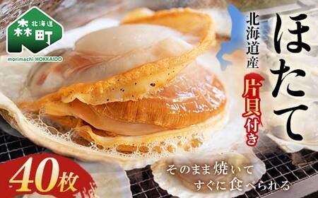 北海道・噴火湾・森産　冷凍ほたて片貝40枚 ＜海鮮問屋　株式会社　瑞宝＞ 森町 ほたて 帆立 ホタテ 海産物 魚貝類 ふるさと納税 北海道 mr1-0916