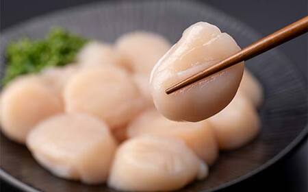 冷凍ホタテ貝柱 500g 海鮮 森町 魚貝類 帆立 ホタテ ほたて 魚介類 貝 ふるさと納税 北海道 mr1-1042