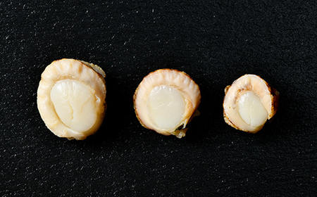 【訳あり】北海道・噴火湾産冷凍ベビーボイルほたて（サイズ不選別品）1kg（500g×2）噴火湾 ホタテ ベビーホタテ ほたて 帆立 mr1-1224