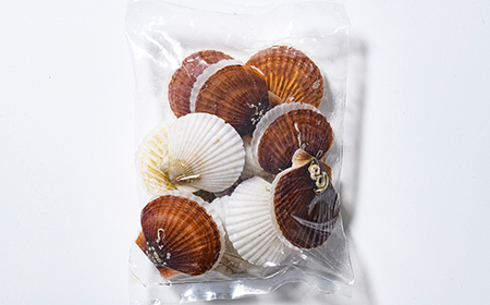 【訳あり】北海道・噴火湾産冷凍ベビーボイルほたて（サイズ不選別品）1kg（500g×2）噴火湾 ホタテ ベビーホタテ ほたて 帆立 mr1-1224