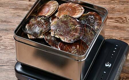 冷凍ほたて(二年貝) ガンガン焼き1.5kg 北海道噴火湾産 海産物 加工品 ほたて 帆立 ホタテ 魚介類 海鮮 森町 ふるさと納税 mr1-0980