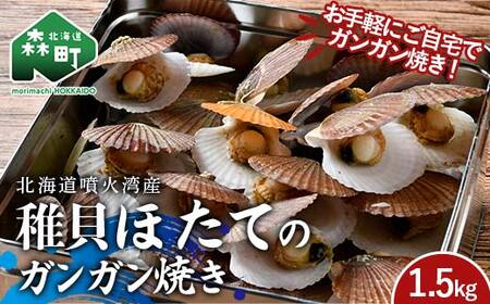 冷凍 稚貝ほたてのガンガン焼き 1.5kg 北海道噴火湾産 海産物 加工品 ほたて 帆立 ホタテ 魚介類 海鮮 森町 ふるさと納税 mr1-0981