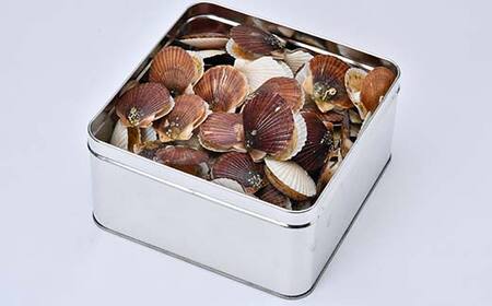 冷凍 稚貝ほたてのガンガン焼き 1.5kg 北海道噴火湾産 海産物 加工品 ほたて 帆立 ホタテ 魚介類 海鮮 森町 ふるさと納税 mr1-0981